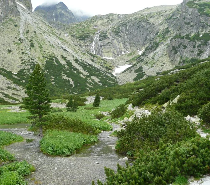 pexels-kata-15866003